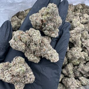 Candy Gelato