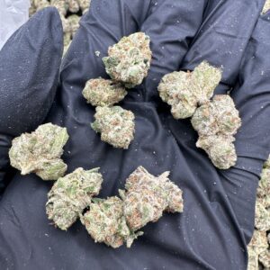 Warhead Smalls