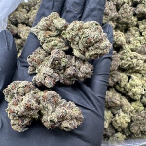 Presidential OG -Dep