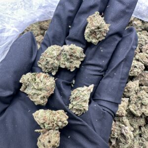 Purple Runtz Smalls