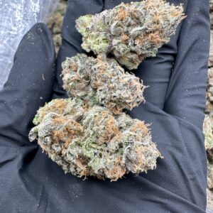 Blue Skittlez
