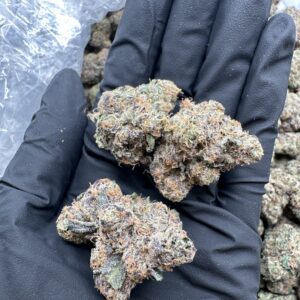 Bubblegum Runtz