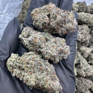 White Sherb